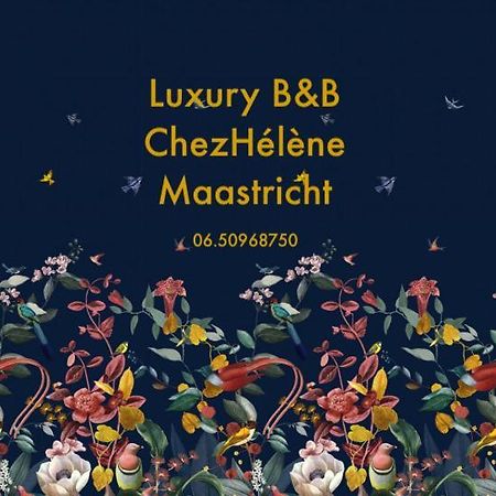 Chez Helene Luxury Appartment マーストリヒト エクステリア 写真