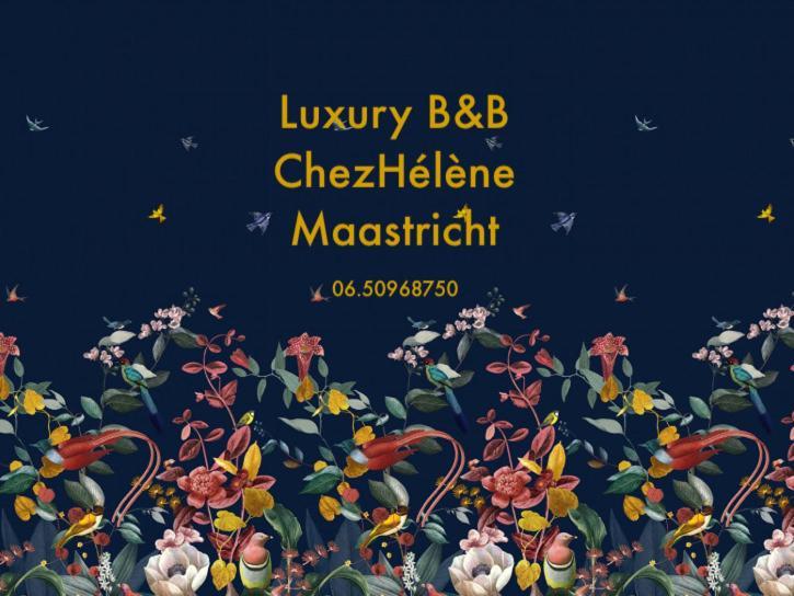 Chez Helene Luxury Appartment マーストリヒト エクステリア 写真